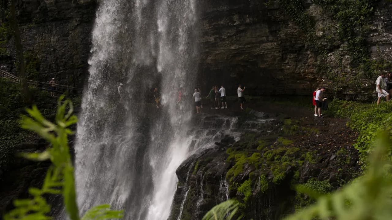 Изображение услуги10