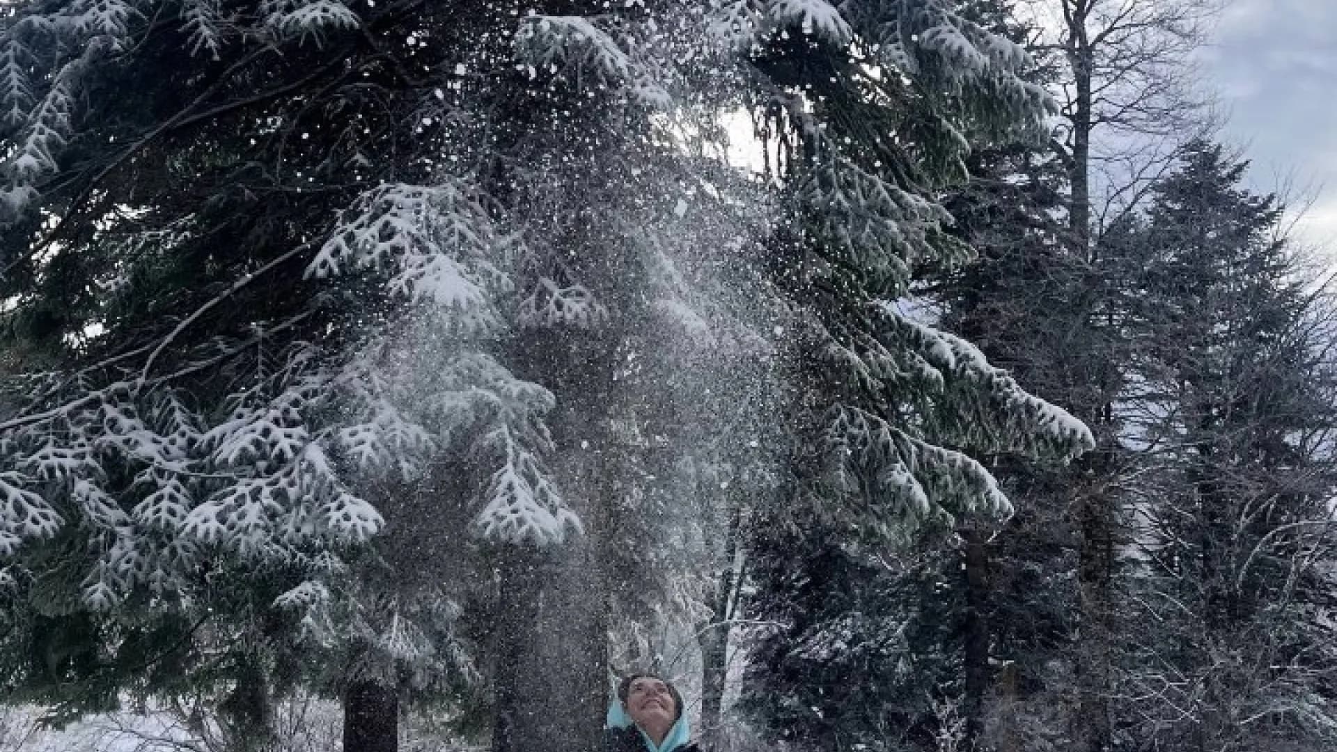 Изображение услуги6