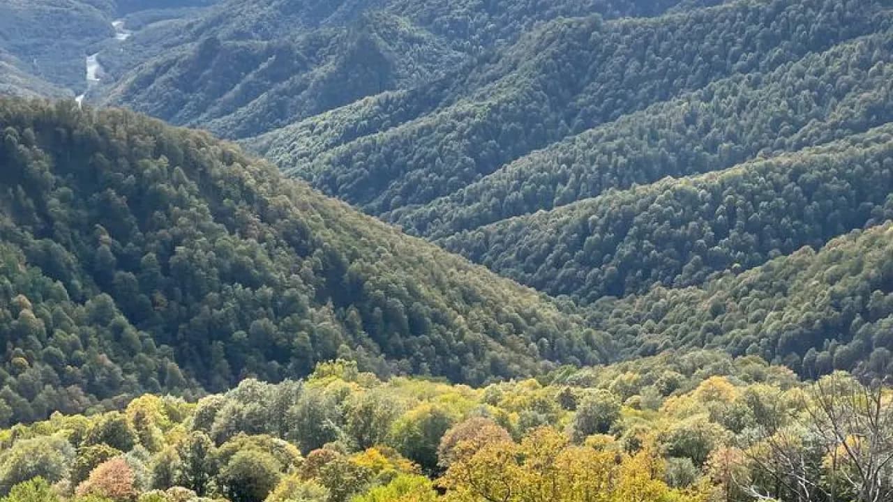 Изображение услуги10