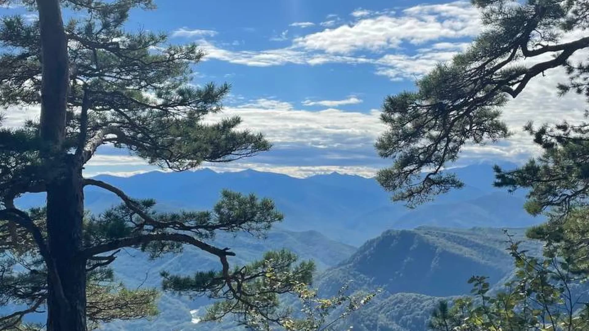 Изображение услуги11