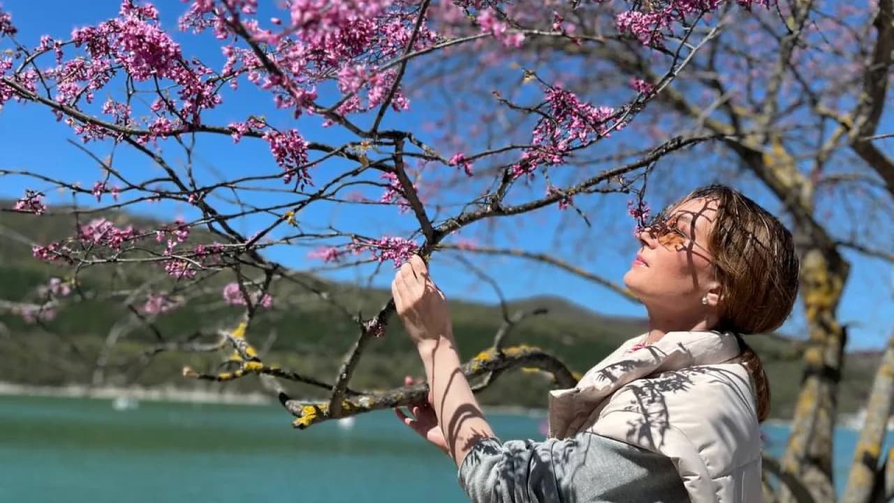 Изображение услуги5
