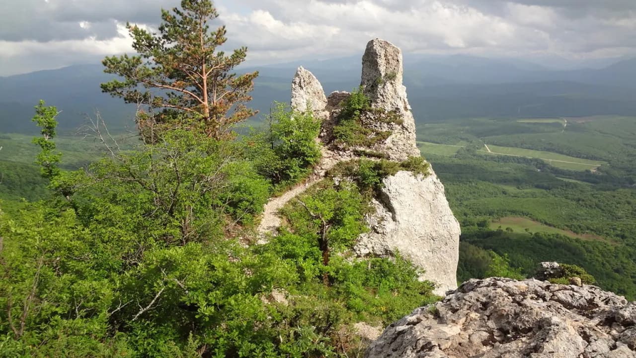 Изображение услуги2