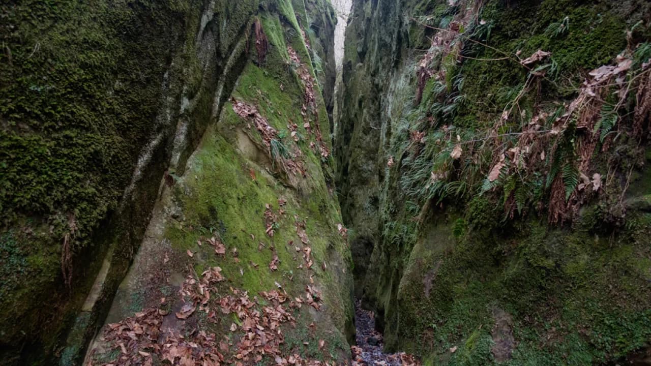 Изображение услуги3