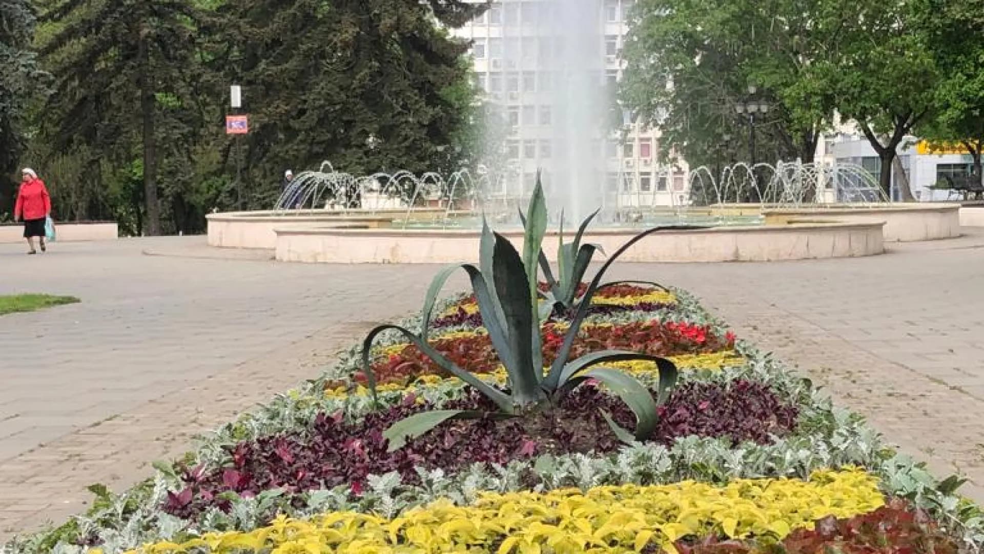 Изображение услуги2