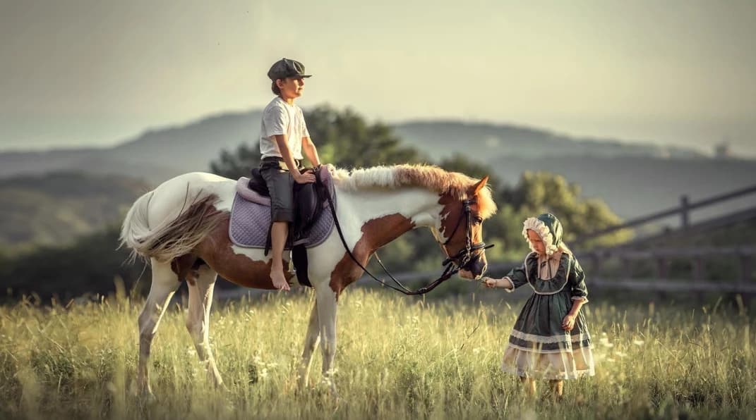 Фото услуги Фотосессия с лошадьми на Ферме Экзархо