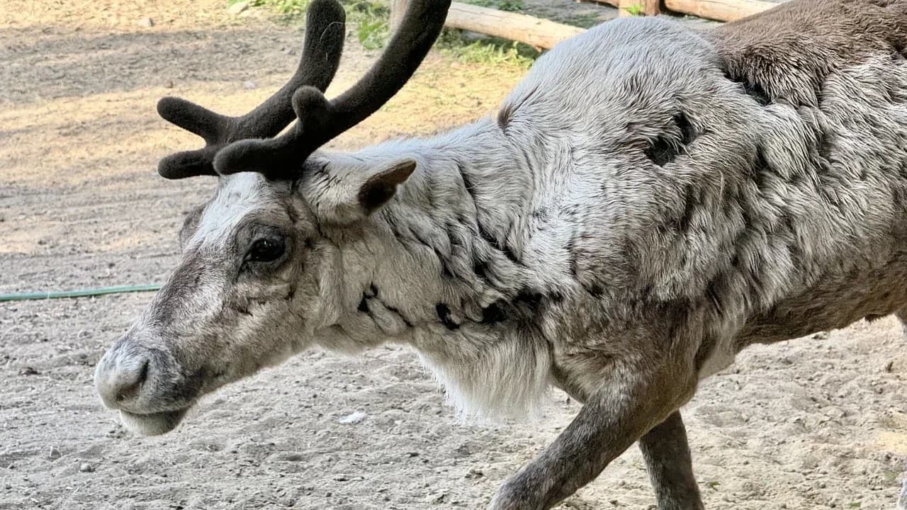 Изображение услуги2