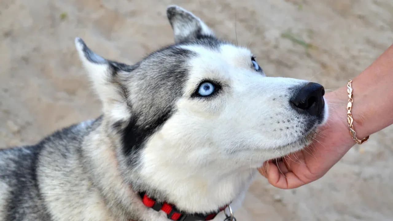 Изображение услуги3