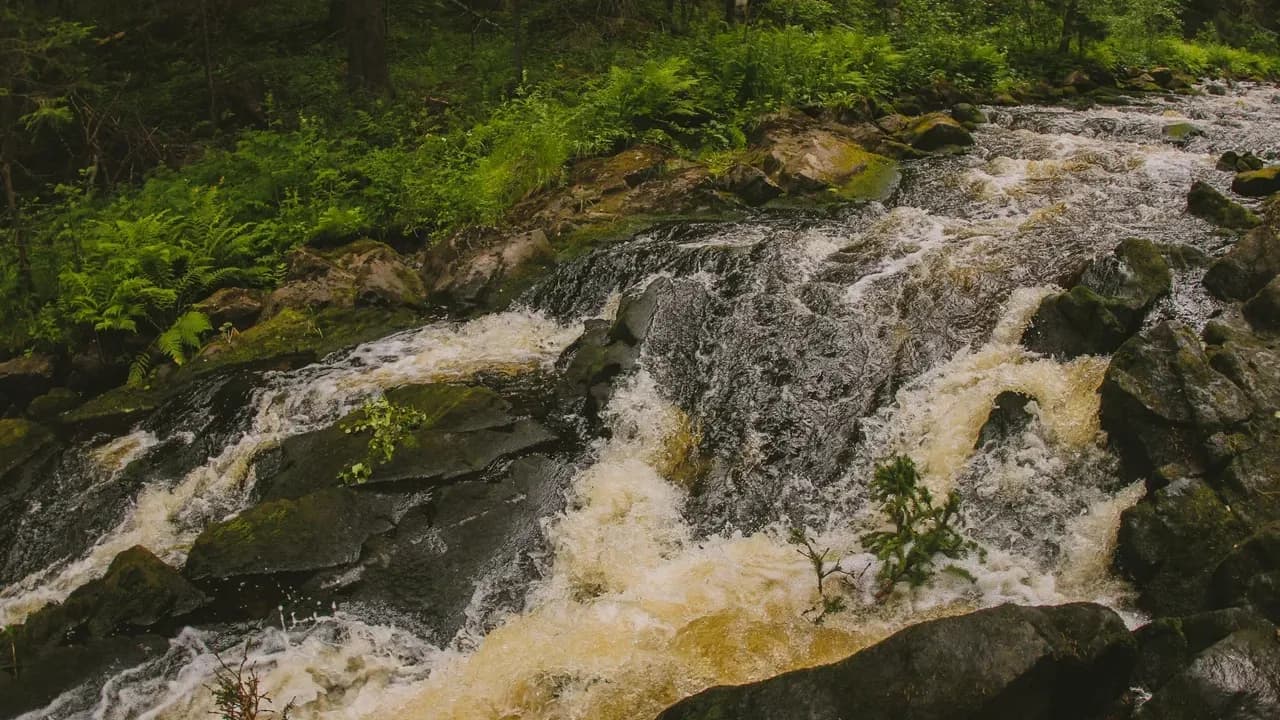 Изображение услуги5