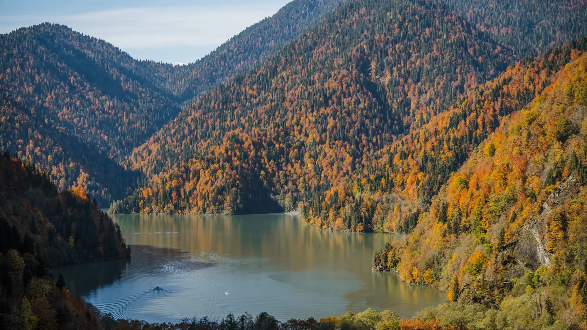 Изображение услуги11