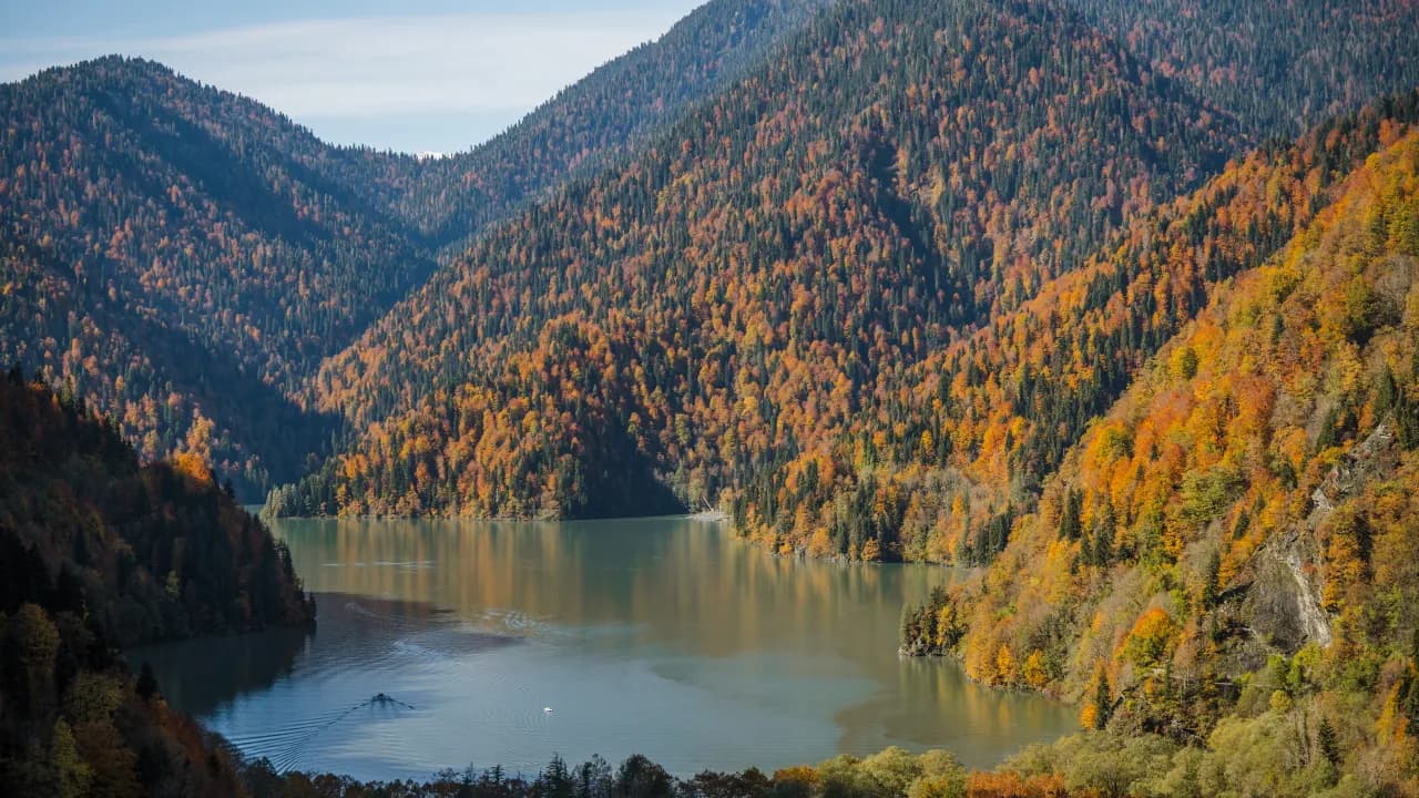 Изображение услуги11