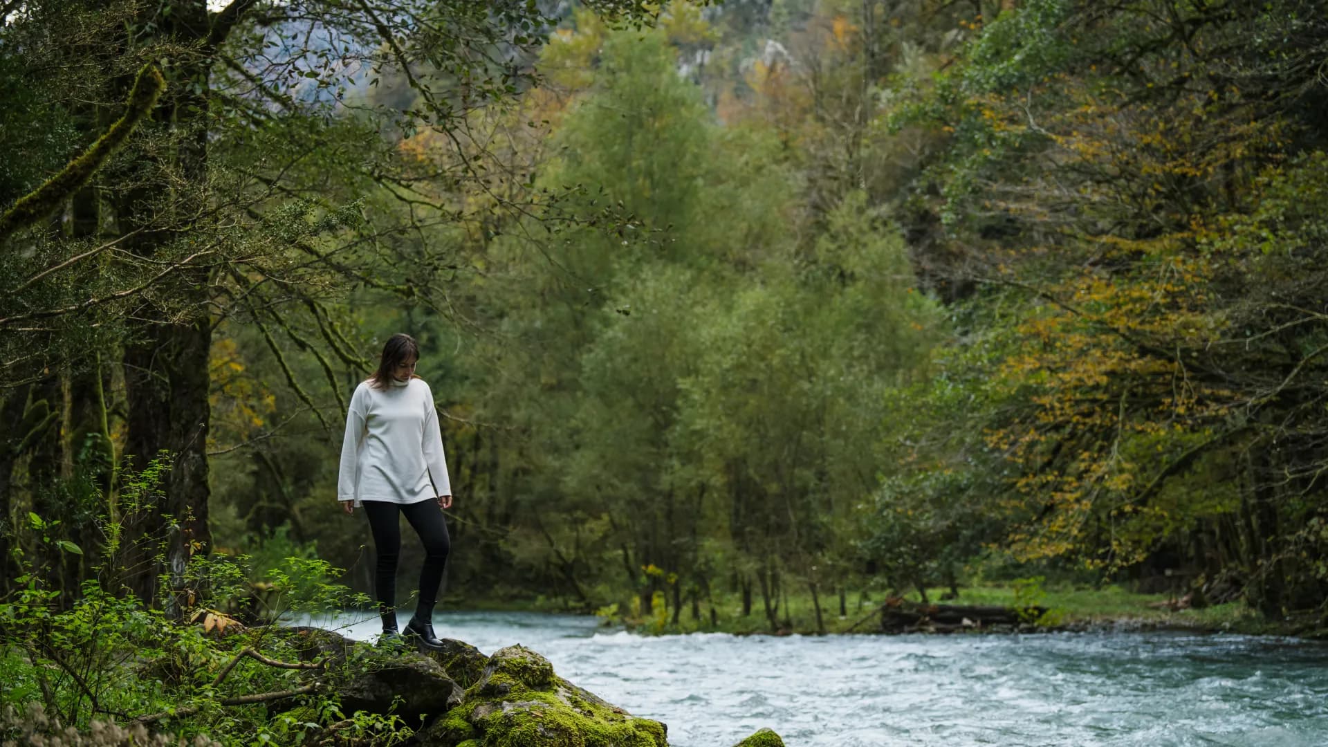 Изображение услуги14