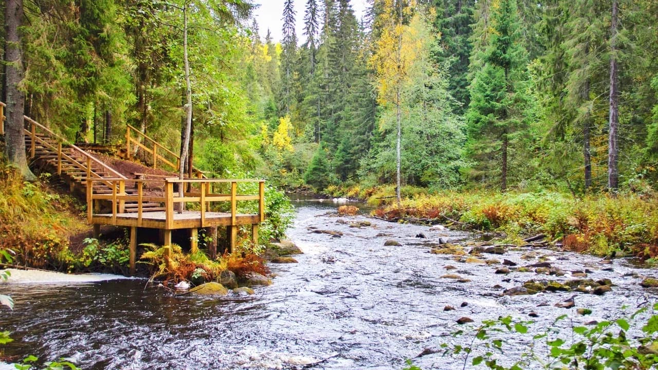 Изображение услуги1