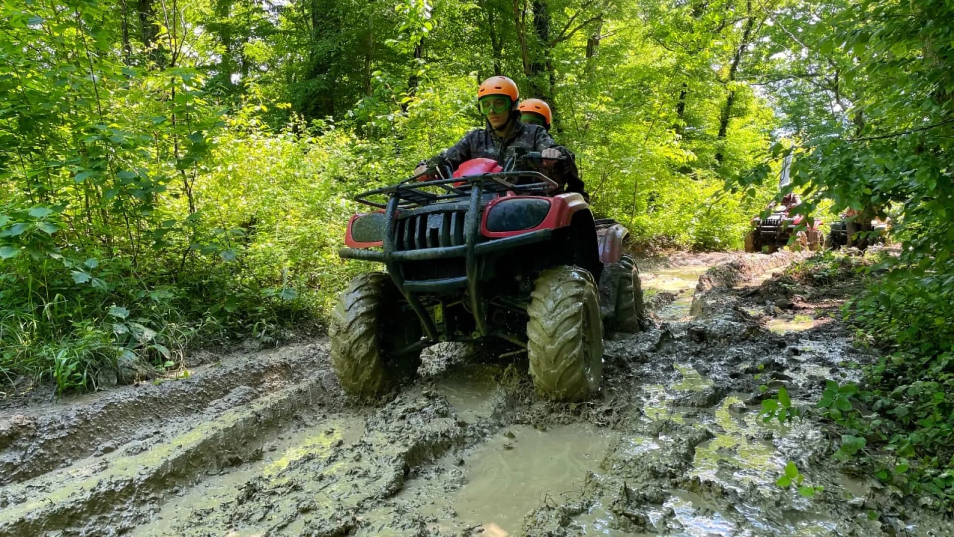 Изображение услуги4