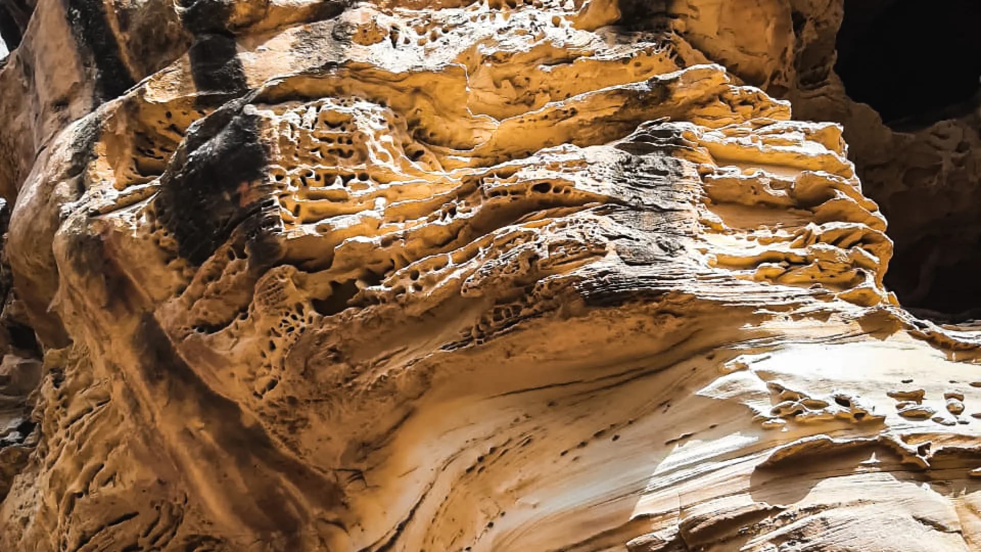 Изображение услуги8