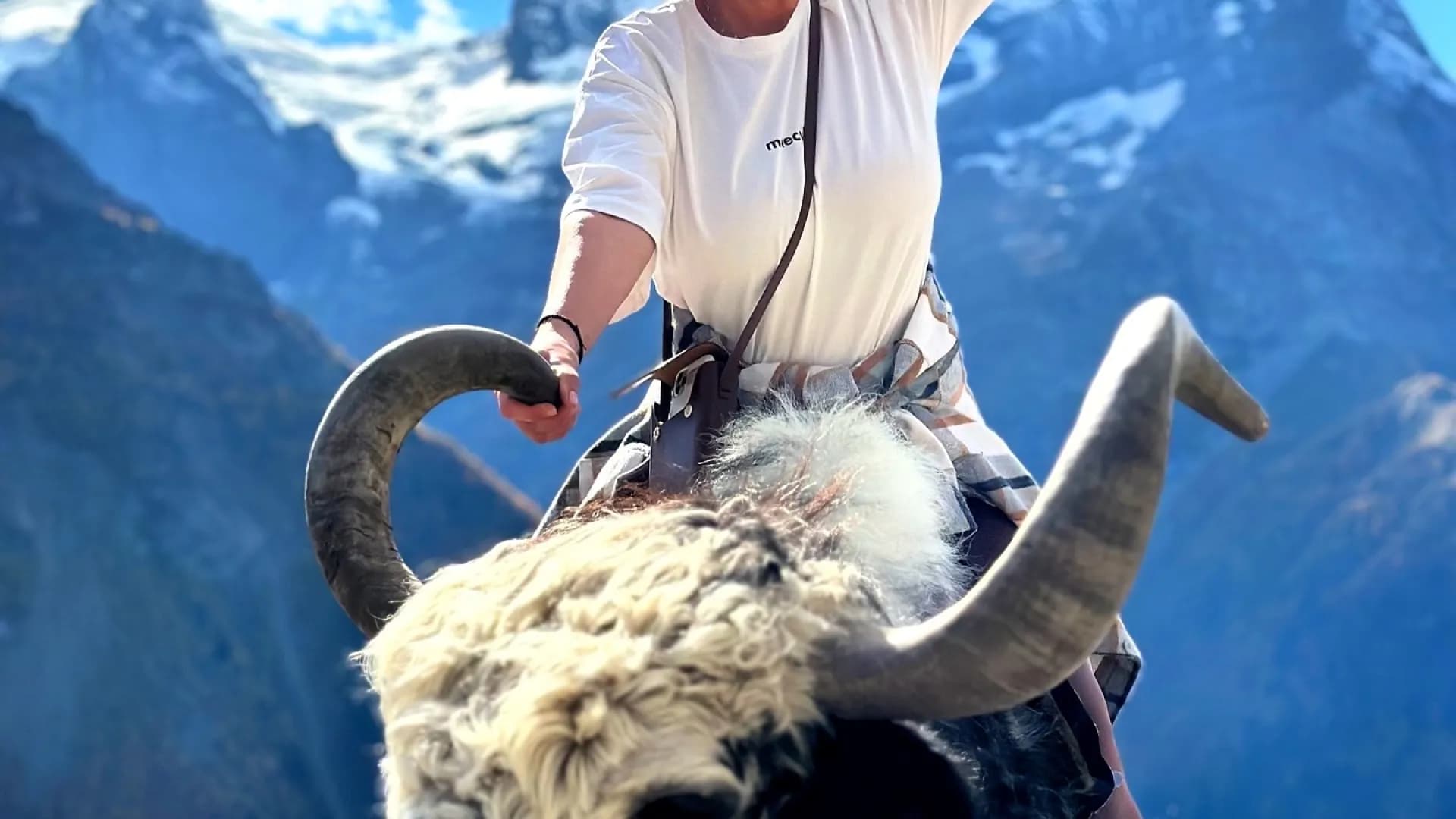 Изображение услуги14