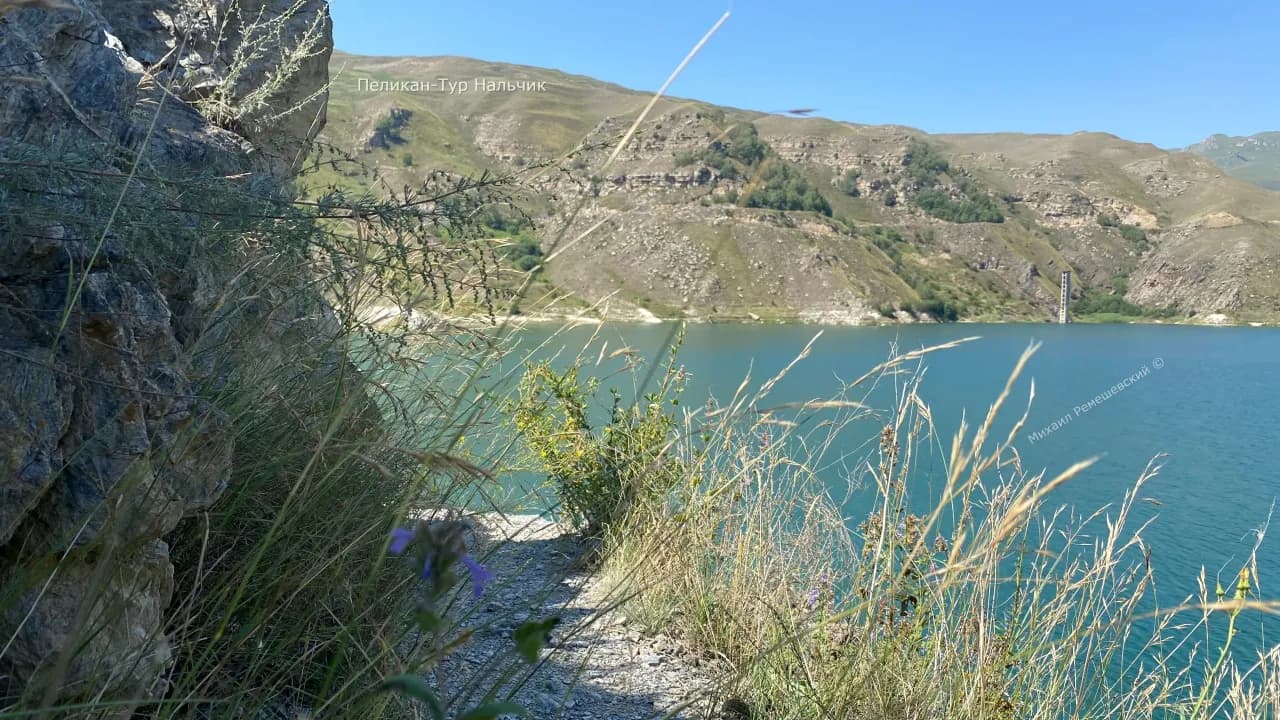 Изображение услуги1