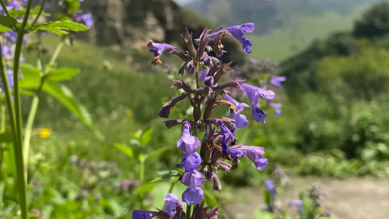 Изображение услуги7