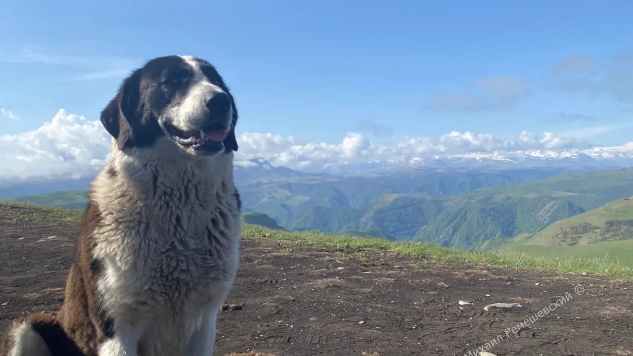 Изображение услуги7