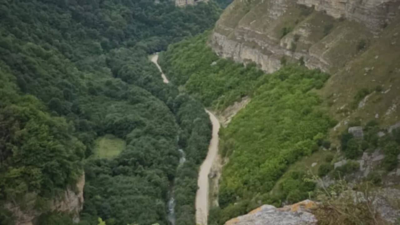 Изображение услуги3