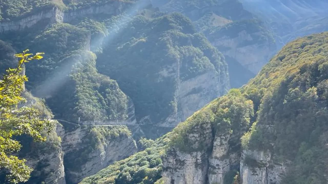 Изображение услуги3