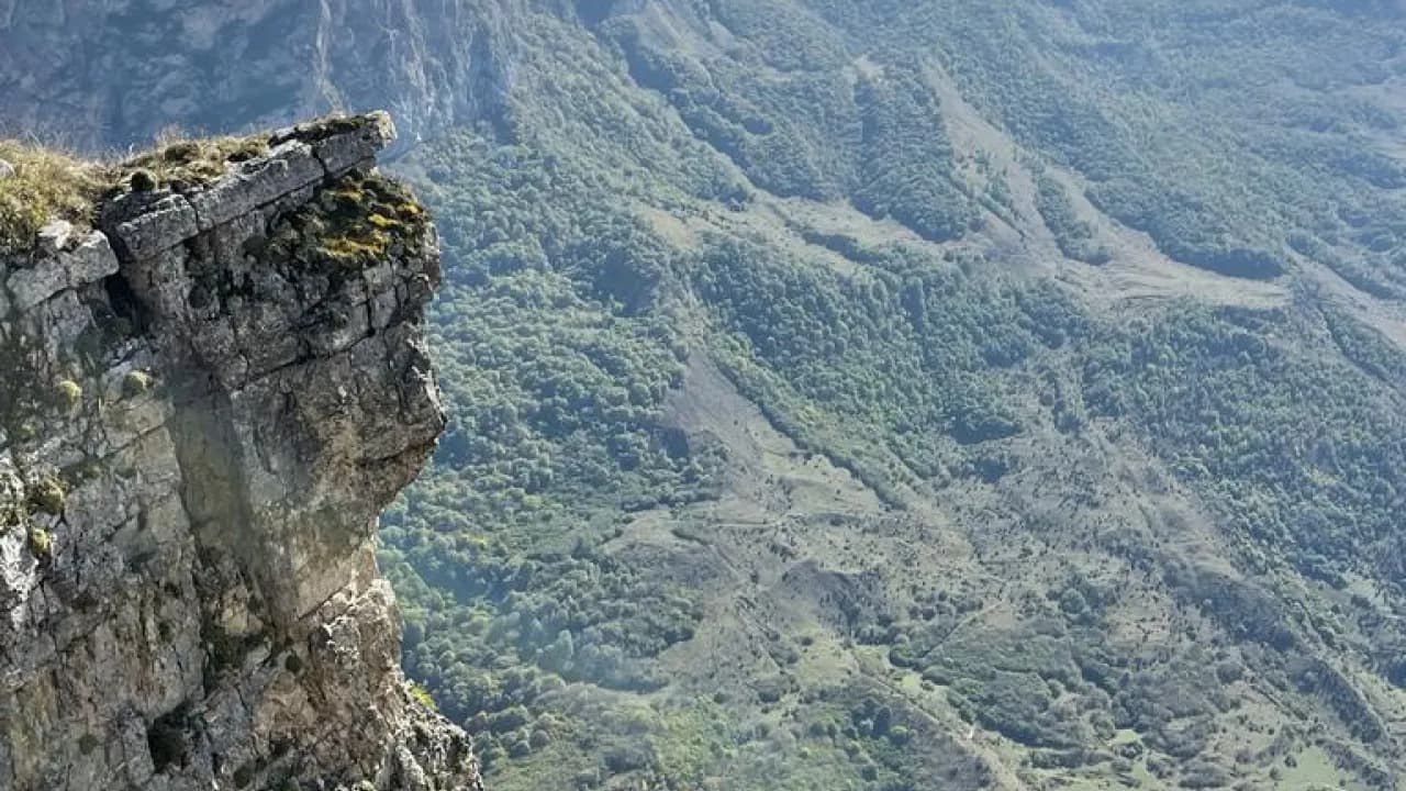 Изображение услуги5