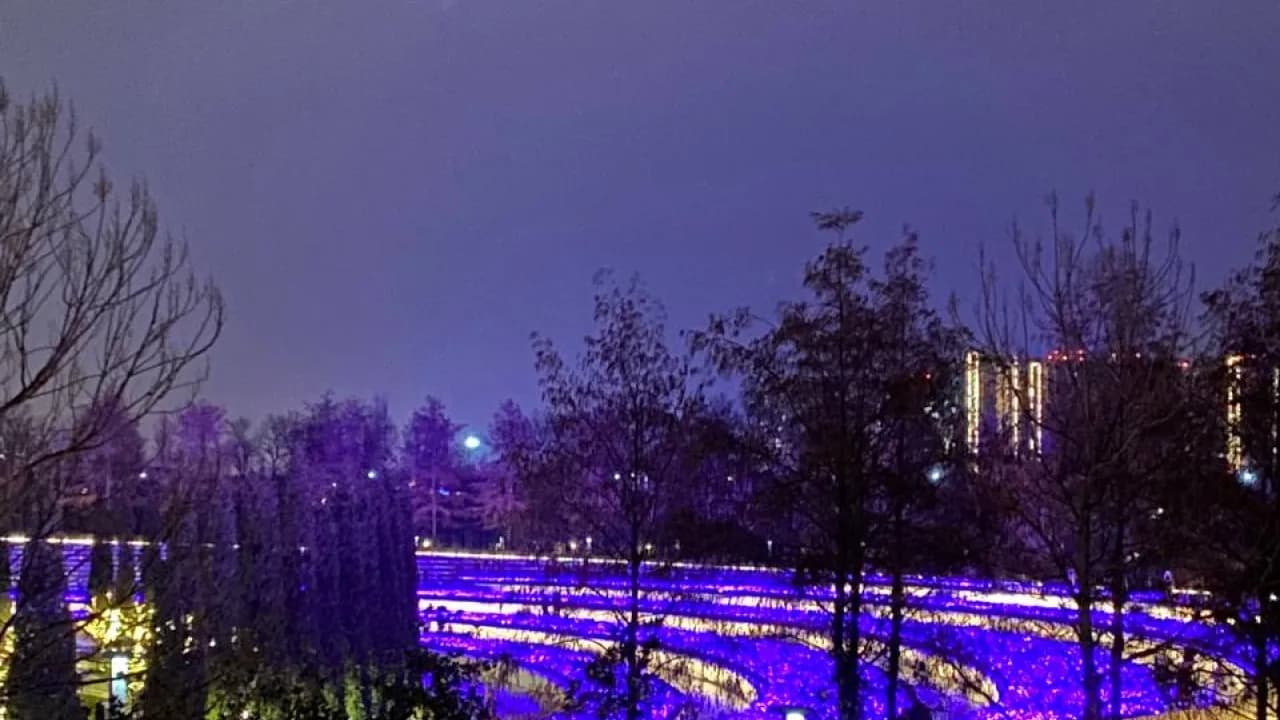 Изображение услуги1