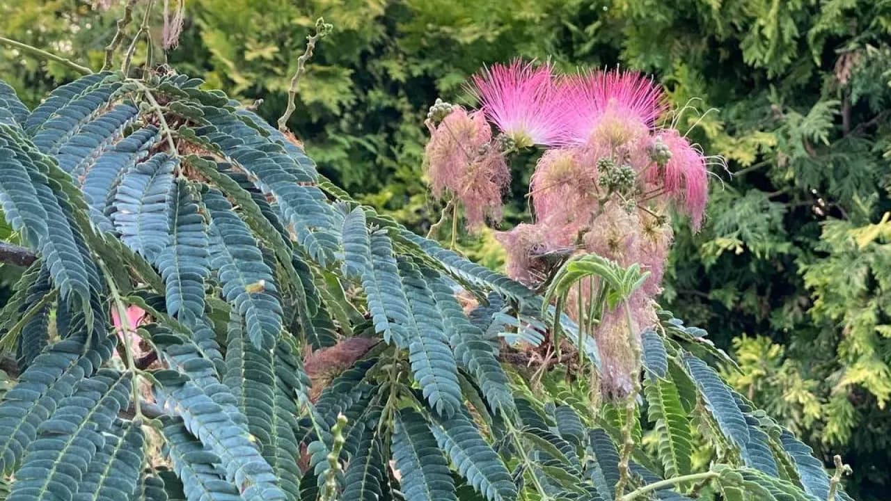 Изображение услуги3