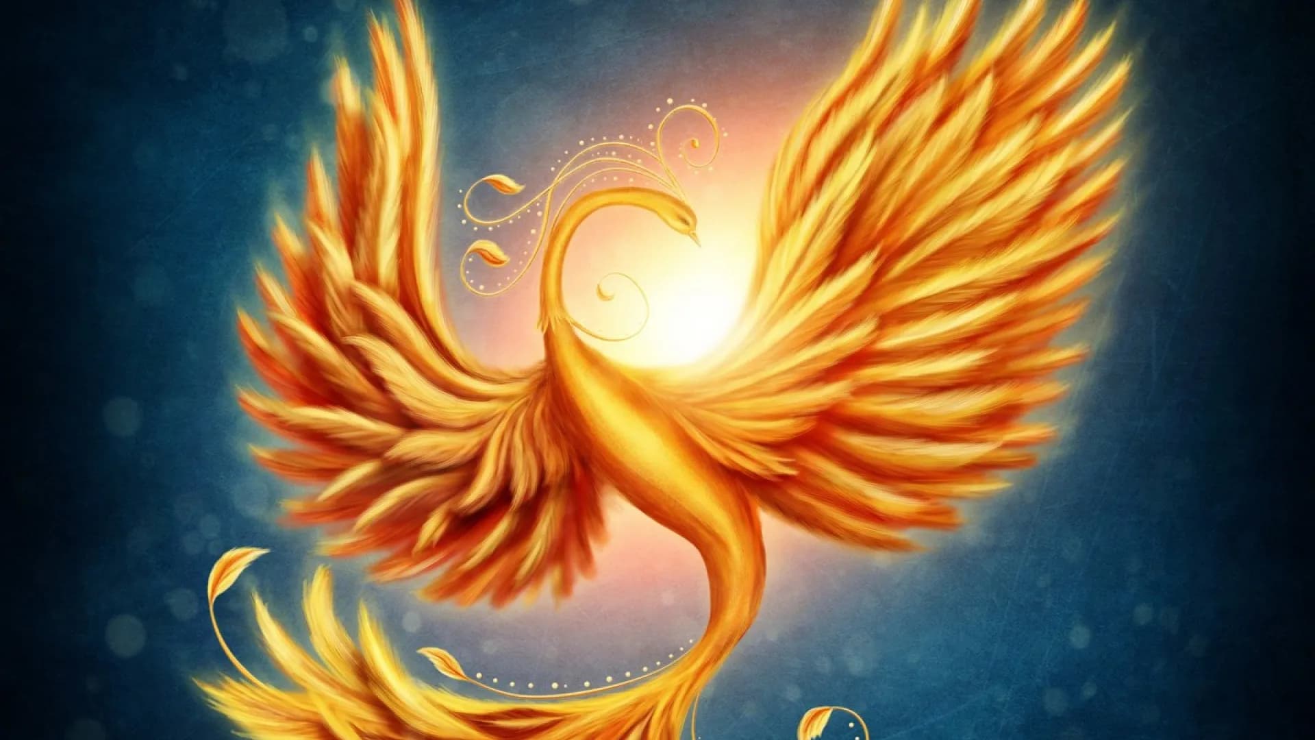 Изображение услуги1