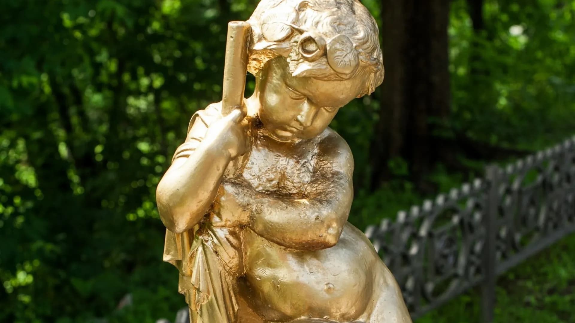 Изображение услуги3