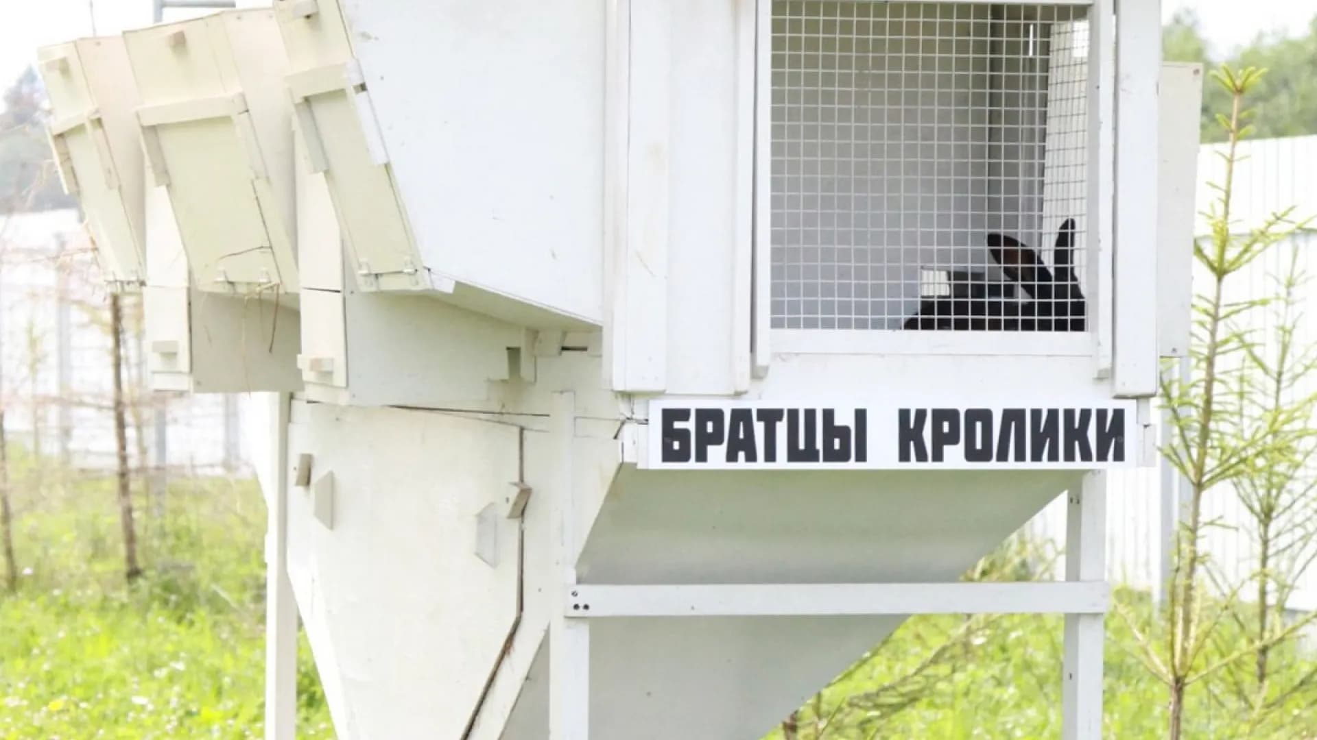 Изображение услуги1