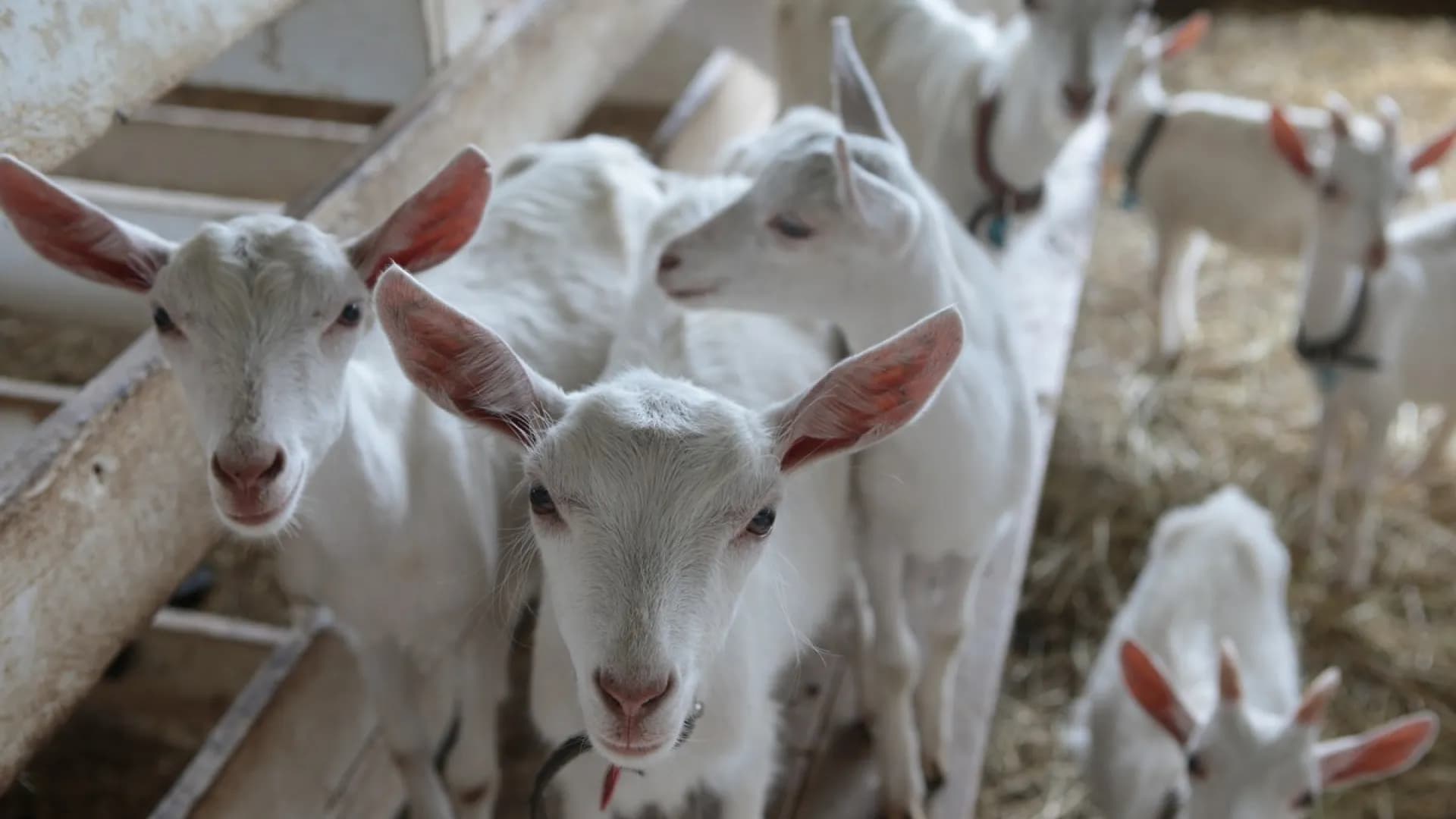 Изображение услуги5