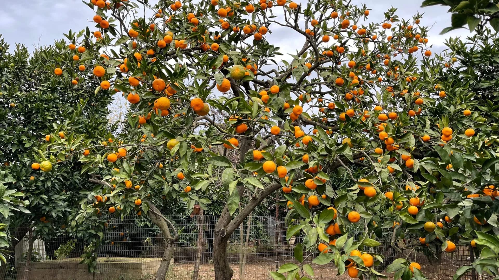 Изображение услуги2