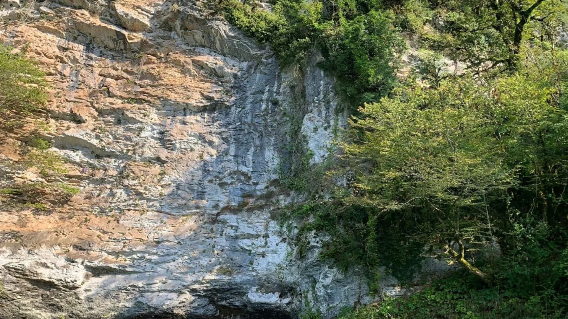 Изображение услуги3