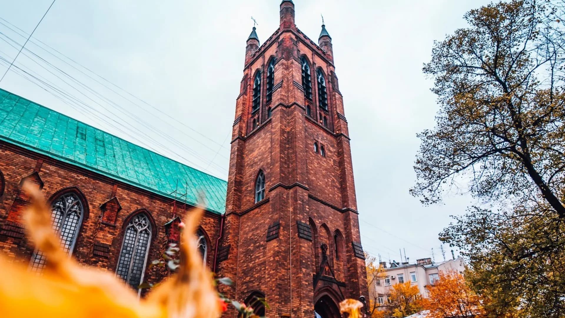 Изображение услуги5