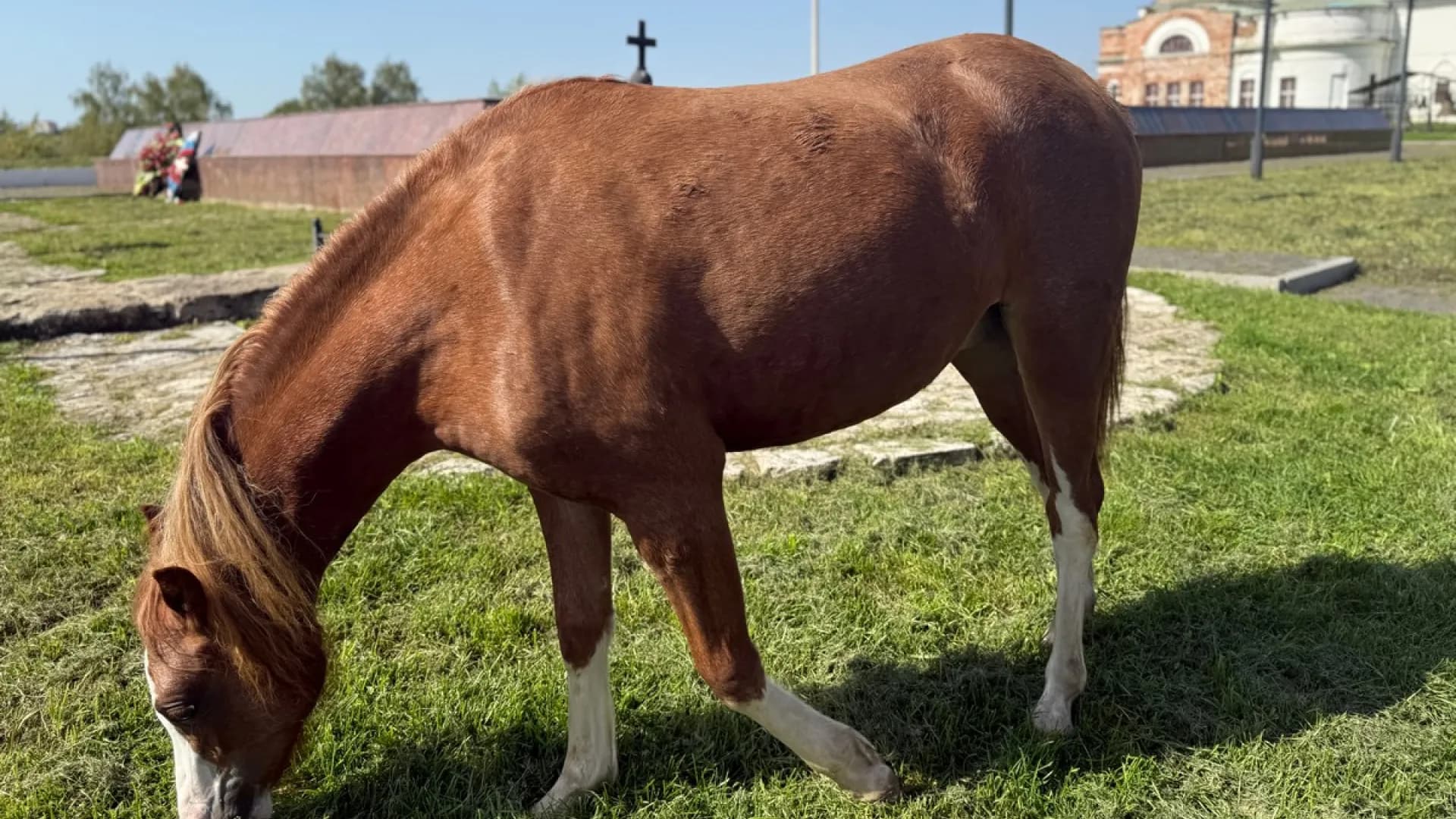 Изображение услуги2