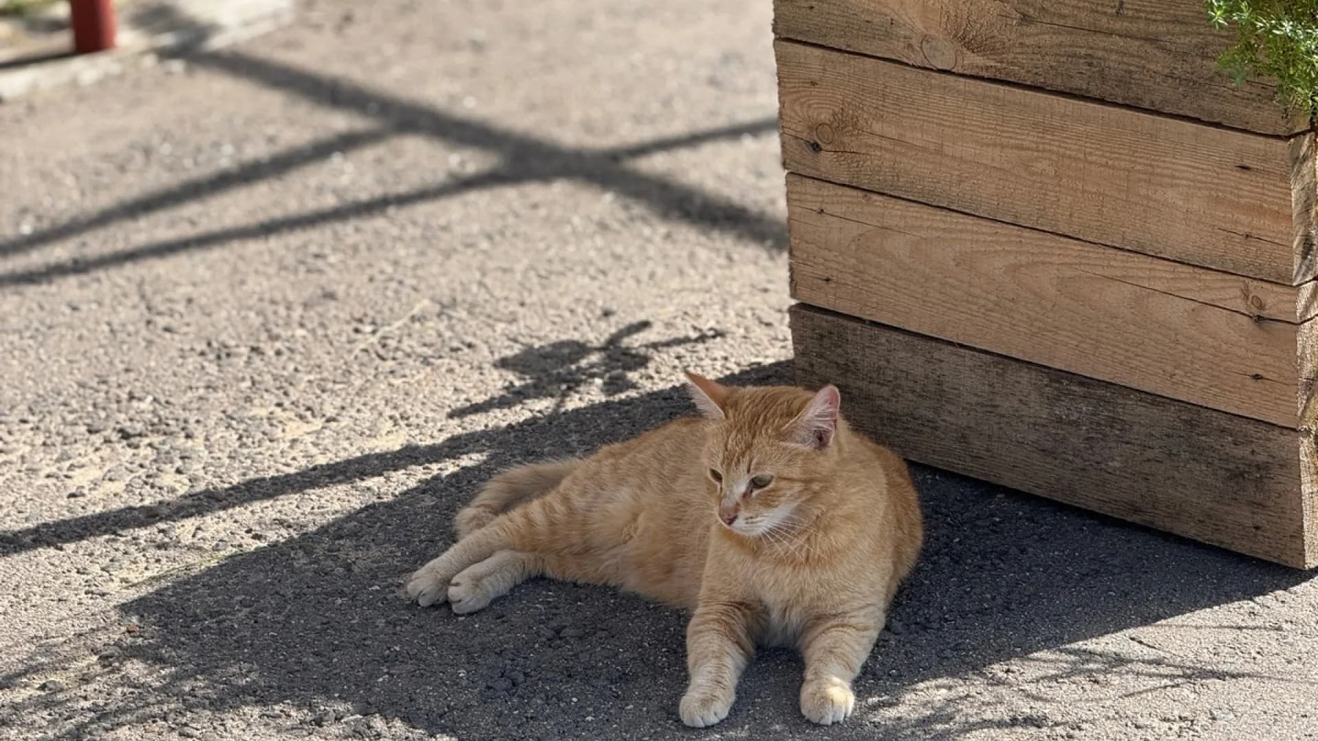 Изображение услуги3