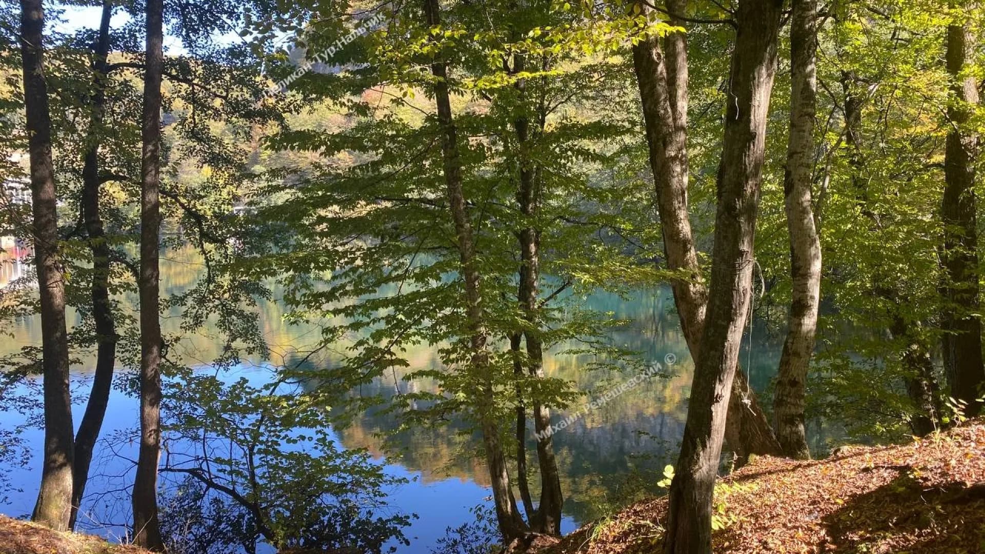 Изображение услуги4