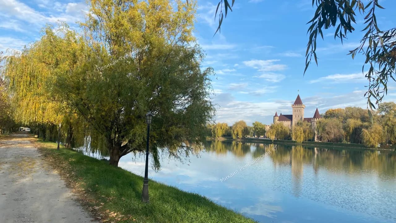 Изображение услуги3