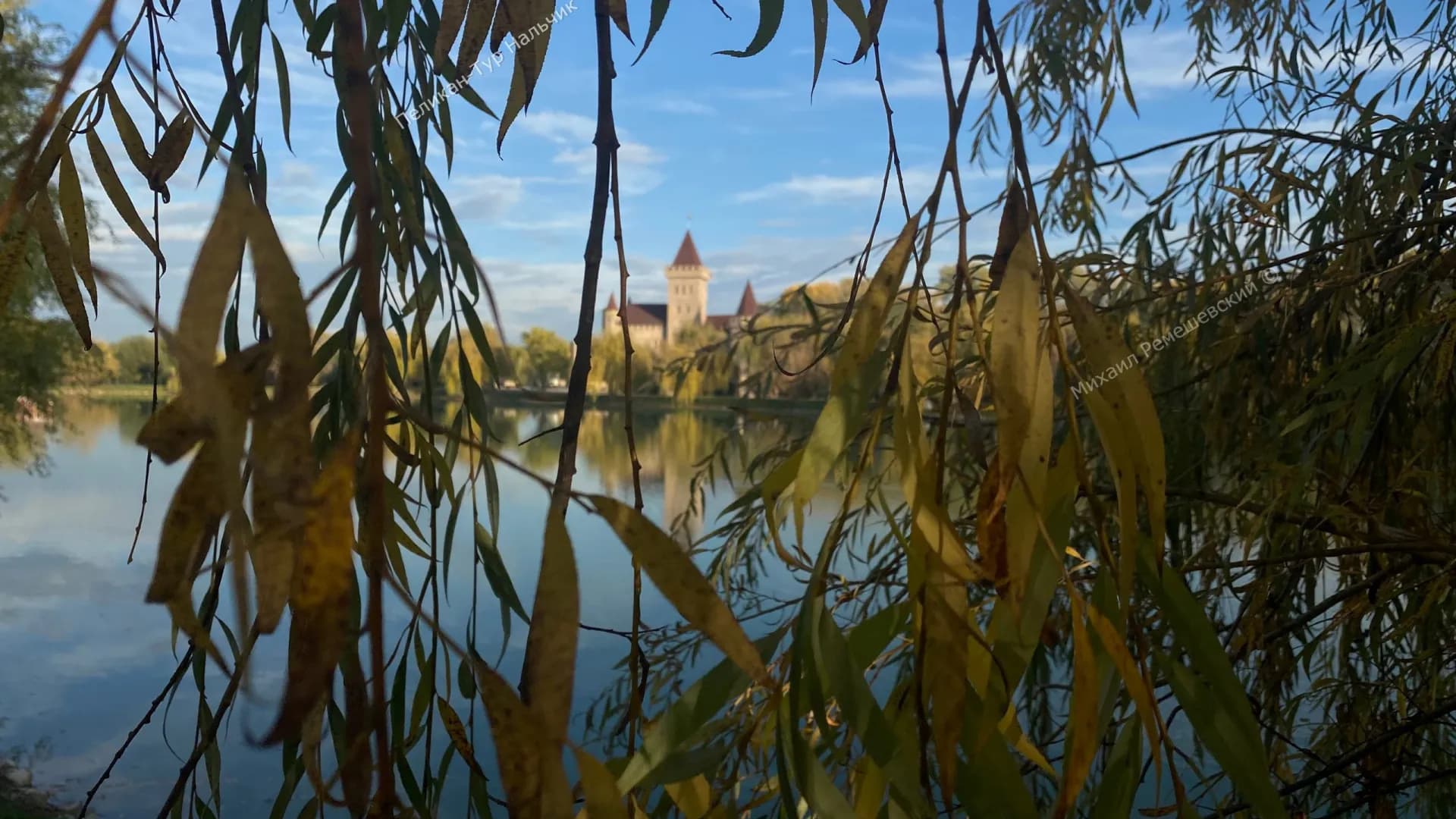 Изображение услуги4