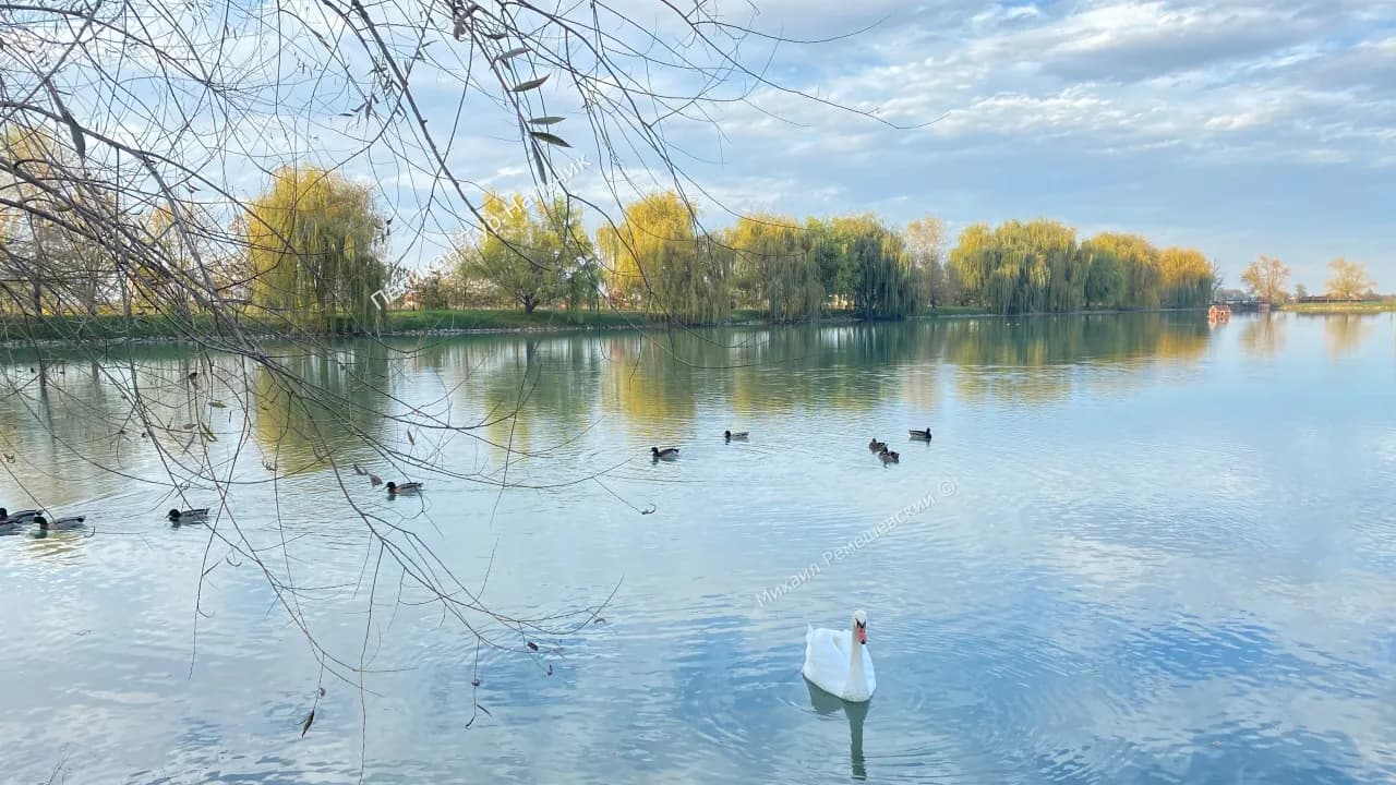 Изображение услуги5