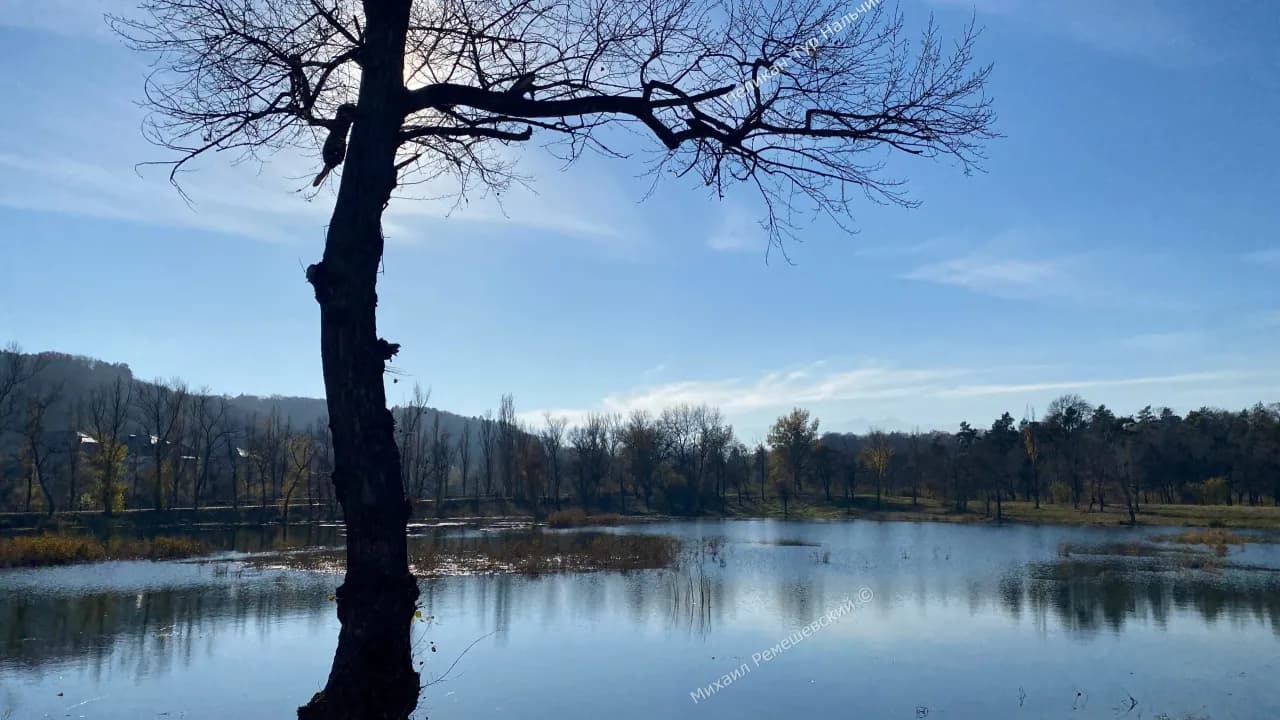 Изображение услуги6