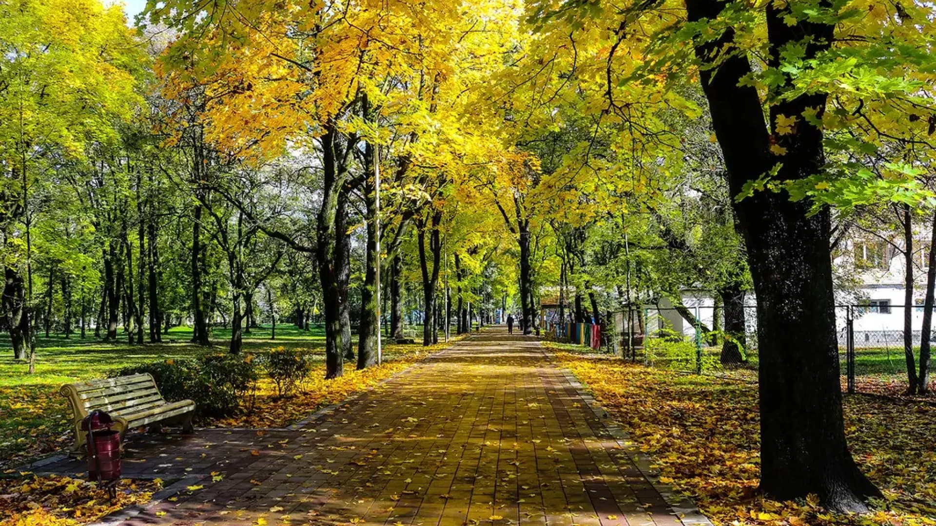 Изображение услуги9