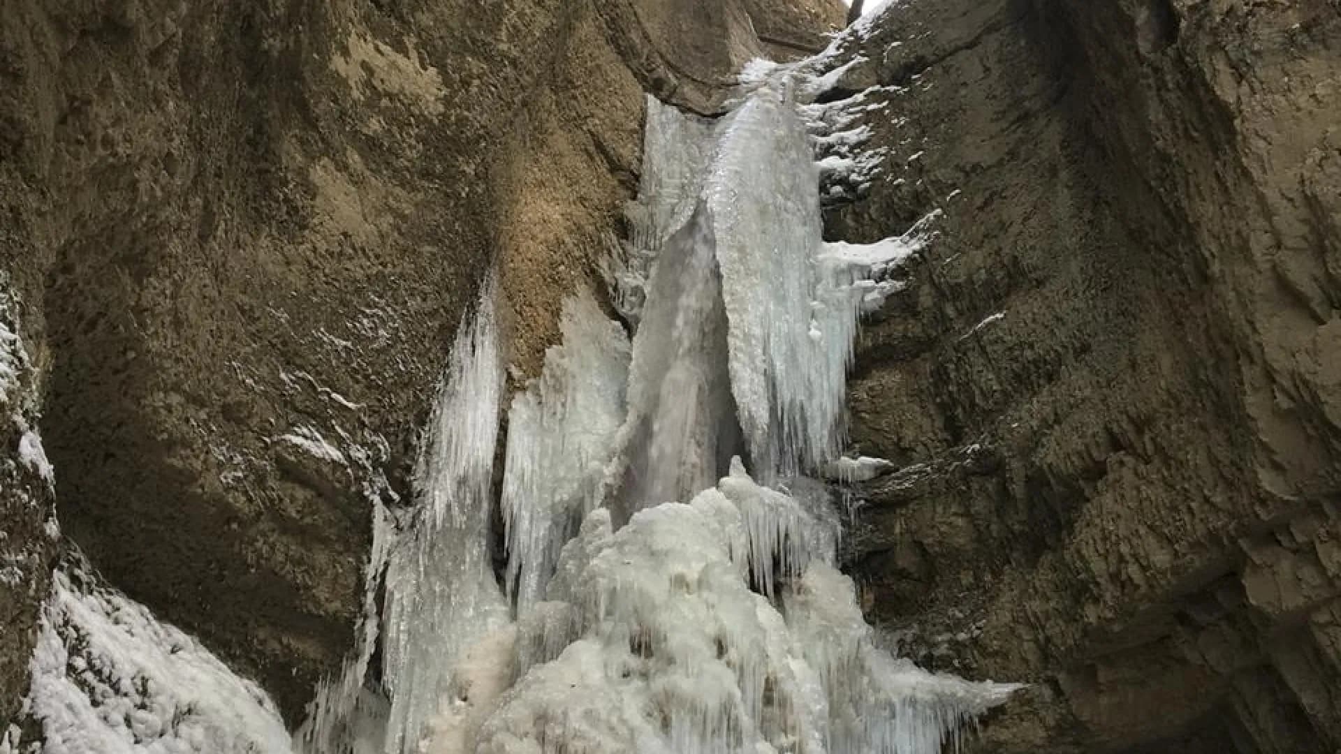 Изображение услуги0