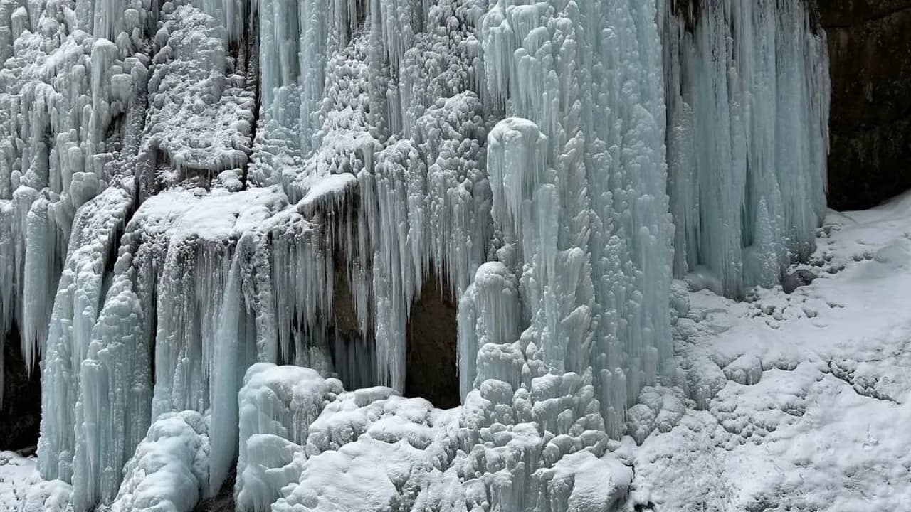 Изображение услуги2