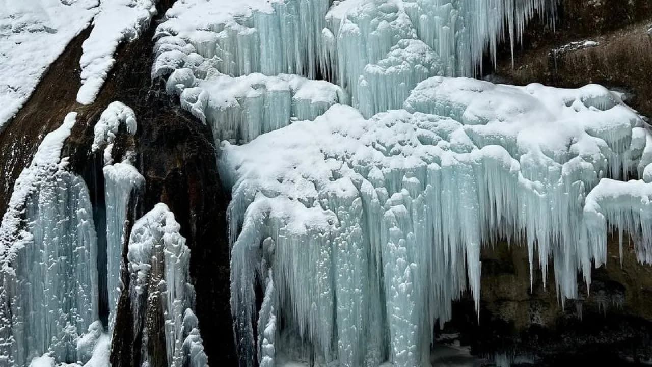 Изображение услуги3