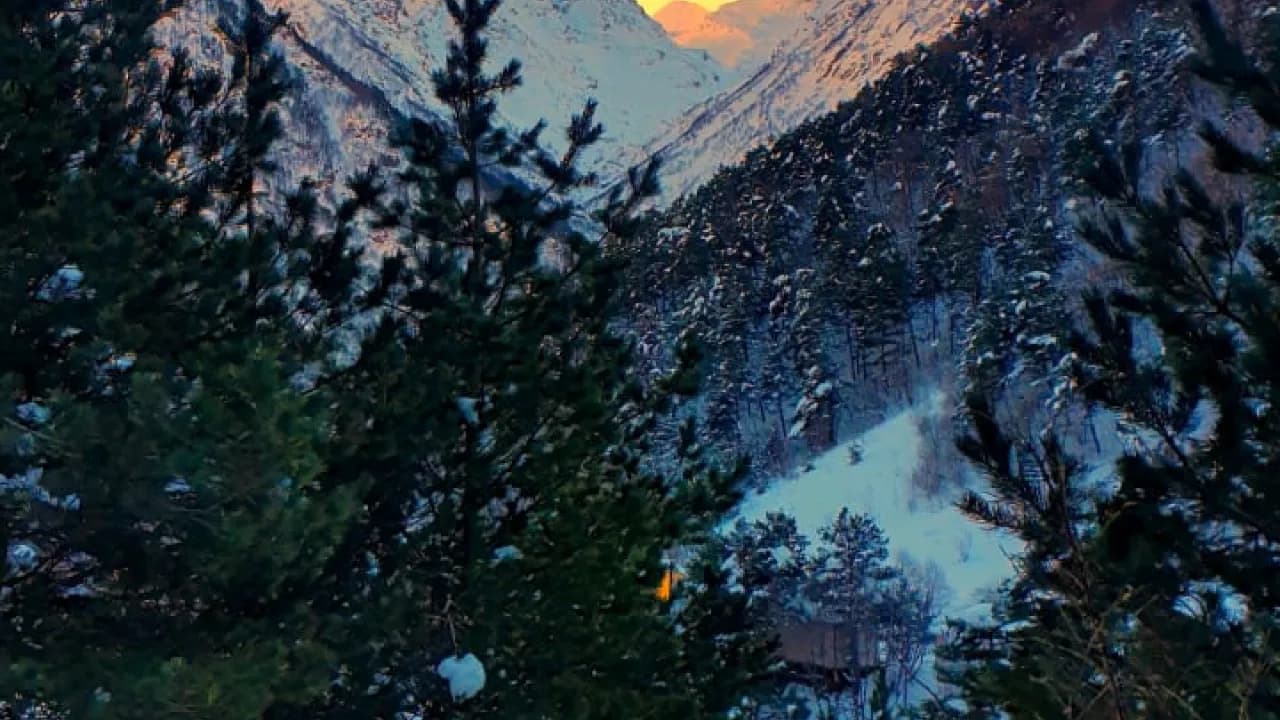 Изображение услуги4