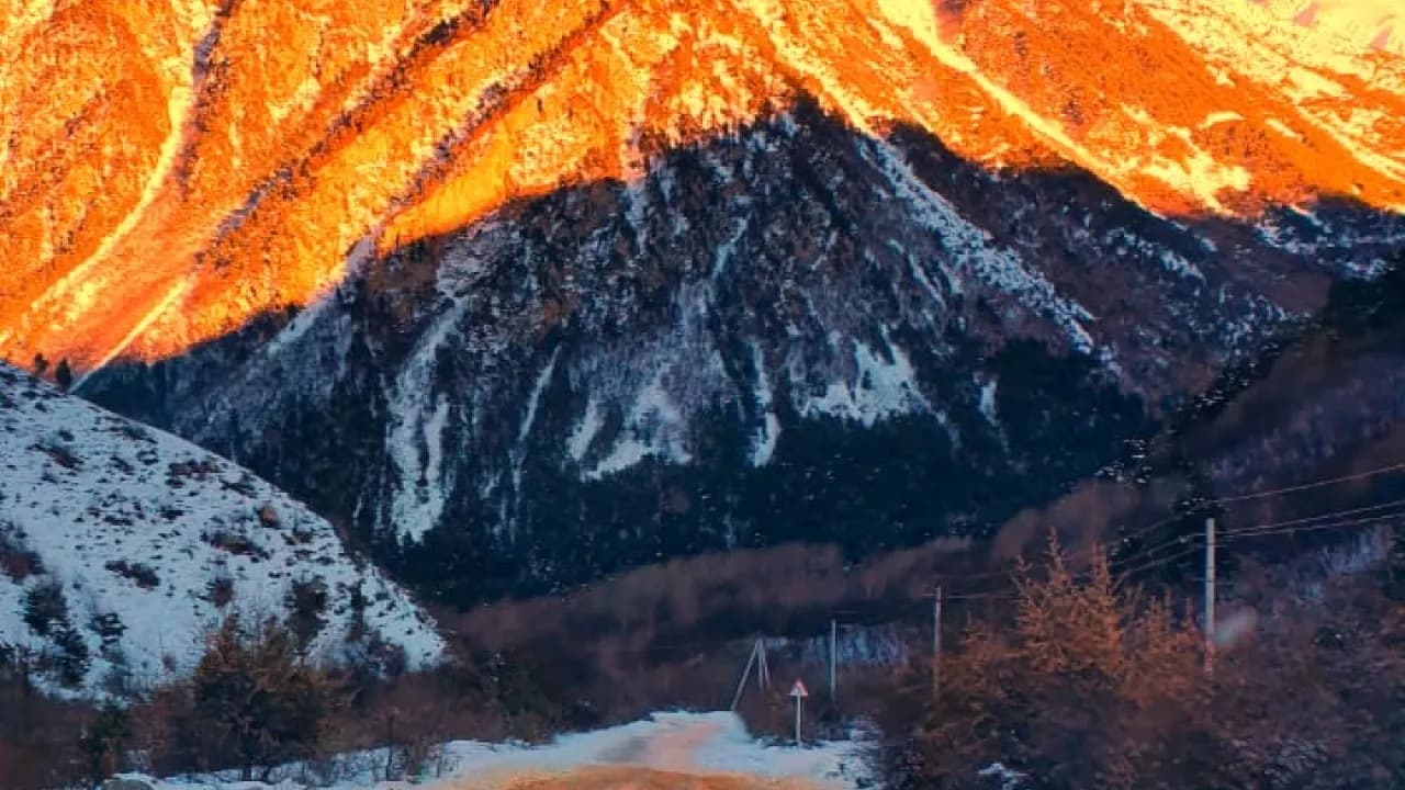 Изображение услуги5