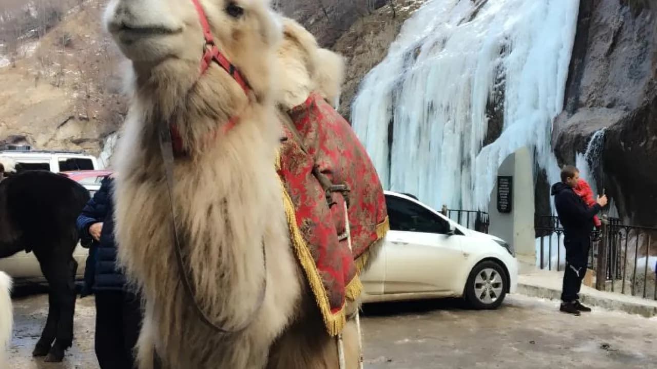 Изображение услуги9