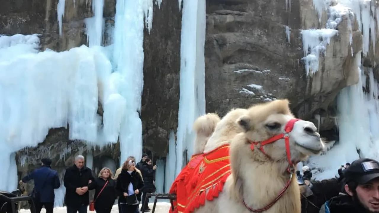 Изображение услуги11