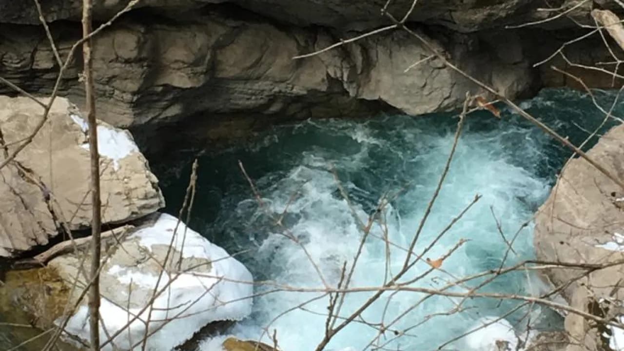 Изображение услуги12